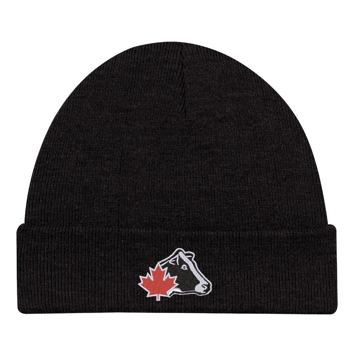 Classic Winter Toque