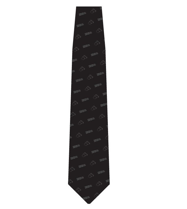 100 Years Satin Necktie