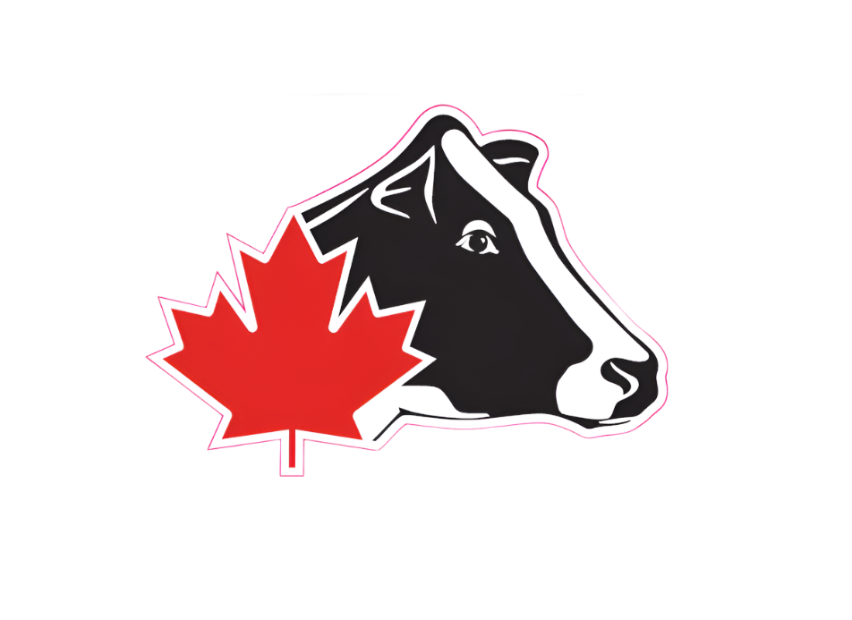 Vinyl Decal - Holstein Canada