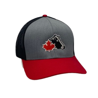 Poly/Cotton Mesh Back Cap
