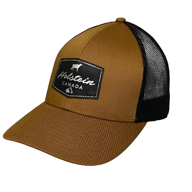 Mesh Back Cap Patch