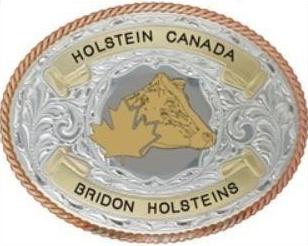 Deluxe Trophy Belt Buckle