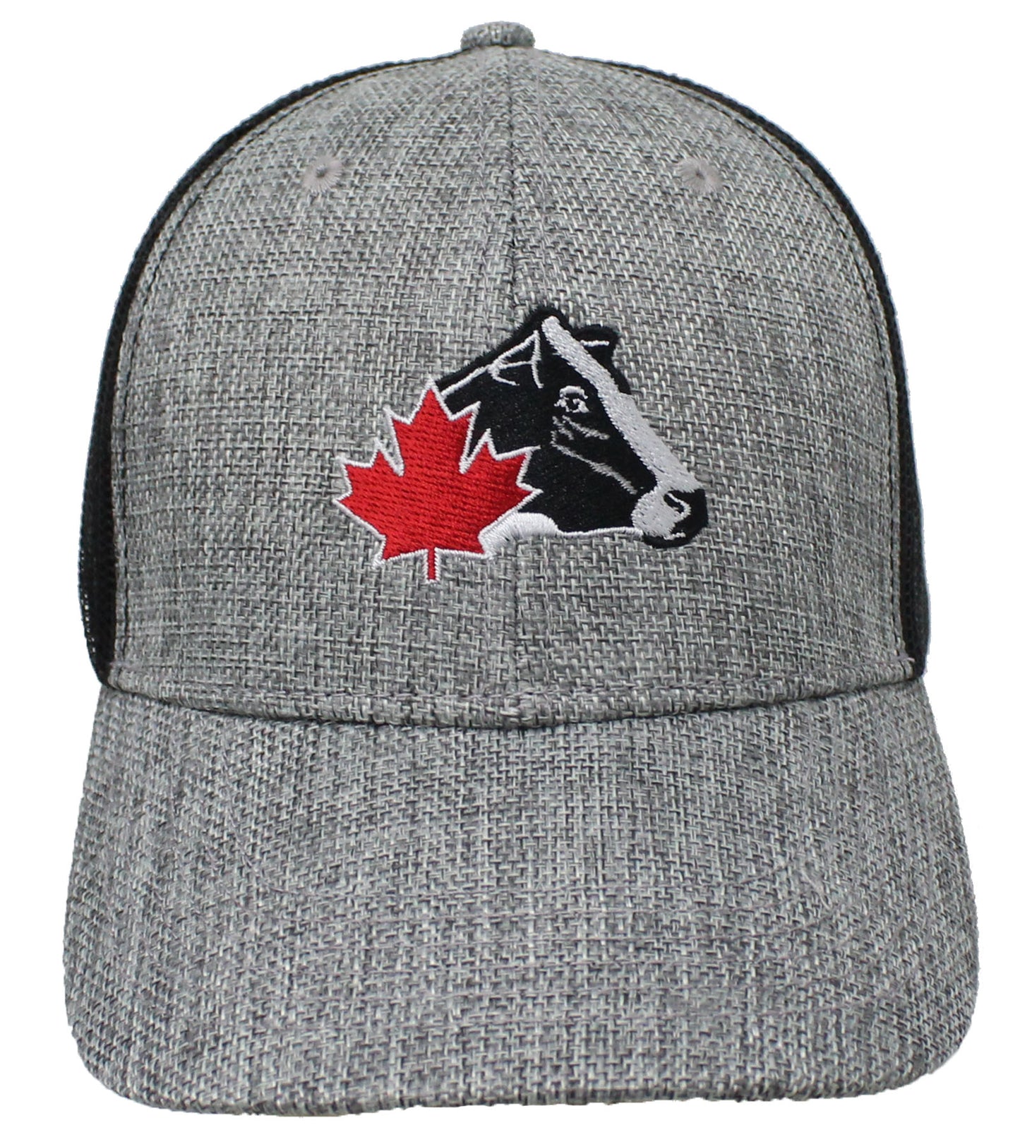 Canvas Trucker Mesh Cap