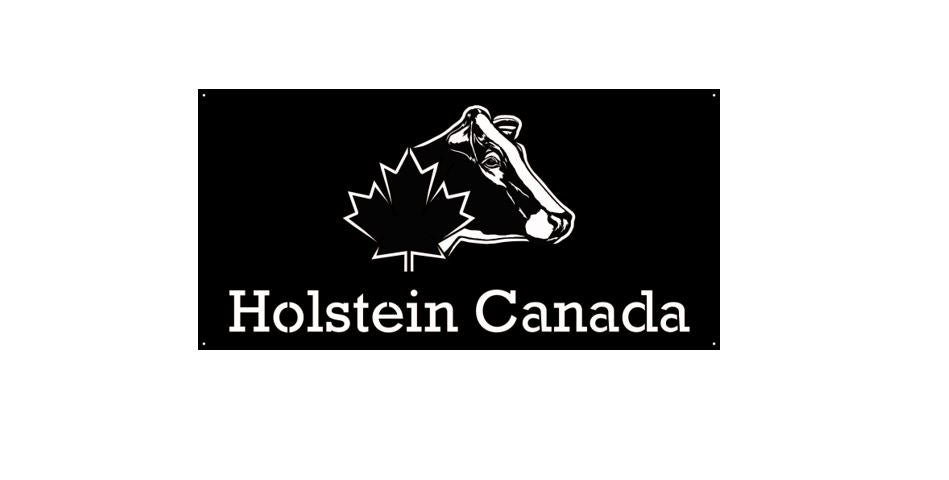 Enseigne en métal personnalisée – Grande – Holstein Gear
