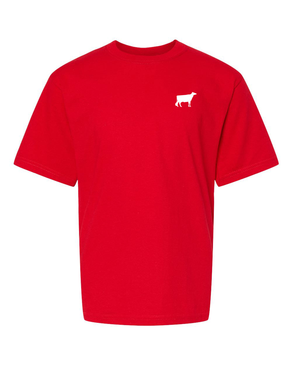 Youth T-Shirts