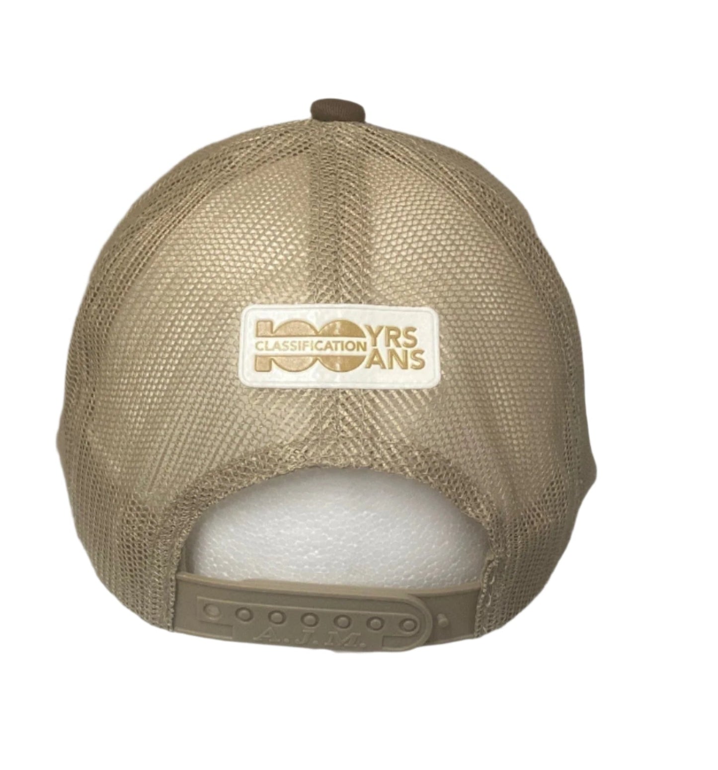 100 Years Classification Hat