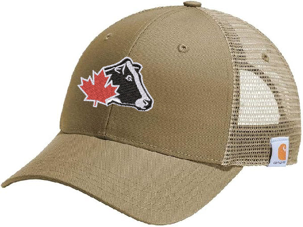 Carhartt Canvas Mesh Back Cap