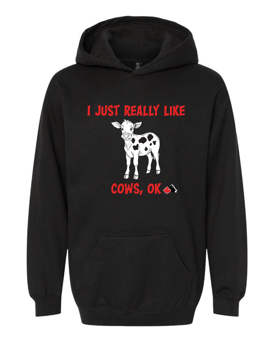 Youth Hooded Sweatshirt  Pre-Order Now