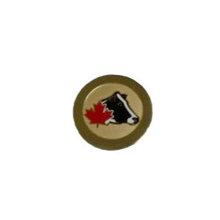 Brushed Gold Lapel Pin