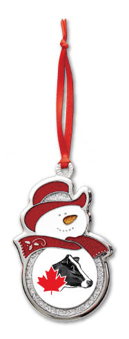 Snowman Ornaments